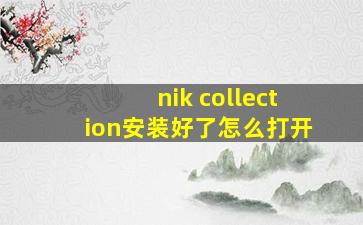 nik collection安装好了怎么打开